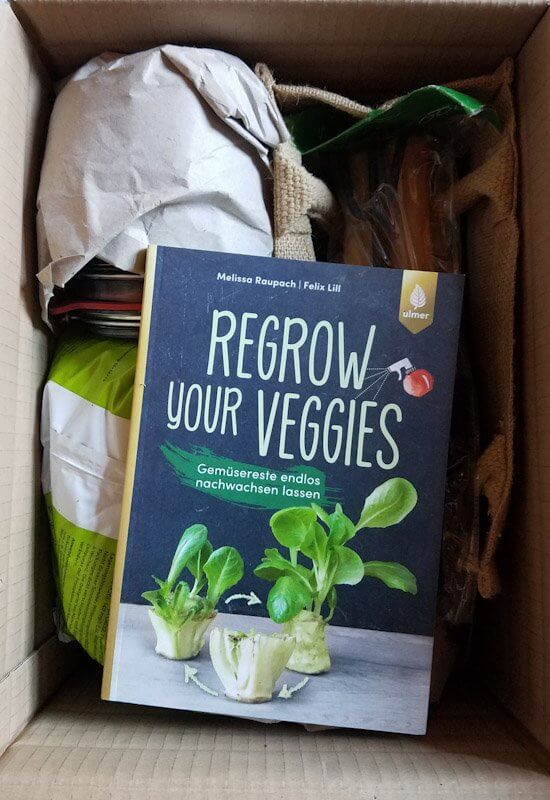 regrow your veggies