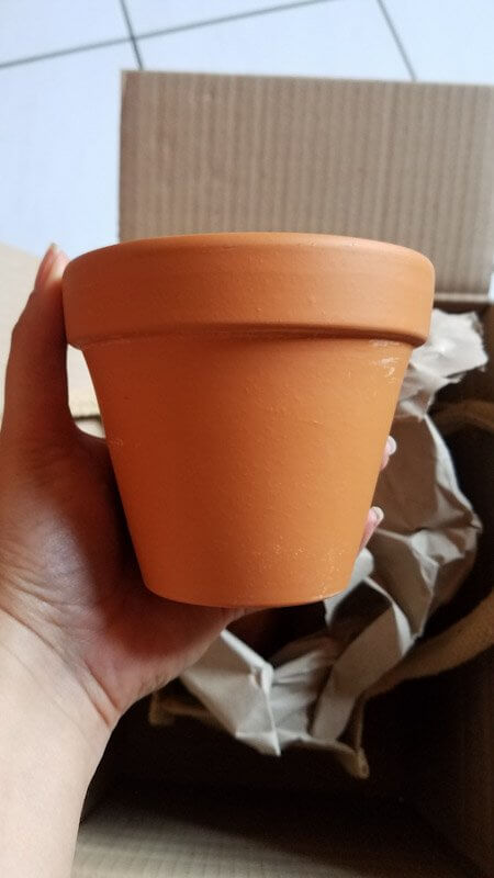 Blumentopf