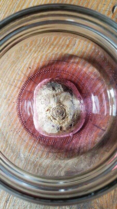 Rote Beete im Glas Regrow your Veggies