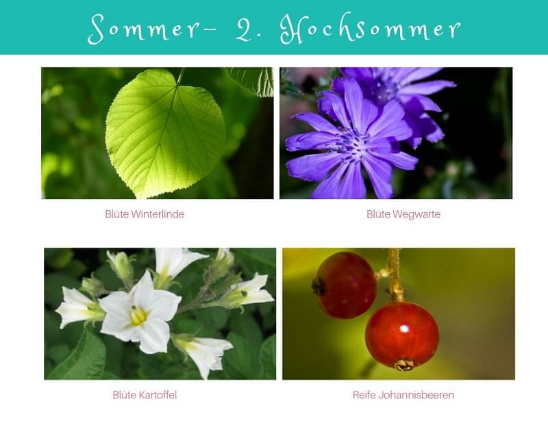 Hochsommer