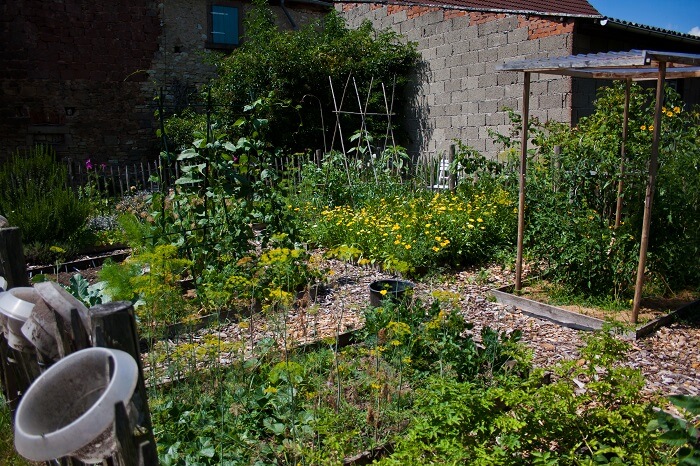 Mein Gemusegarten Wildes Gartenherz Zeigt Ihren Gemusegarten