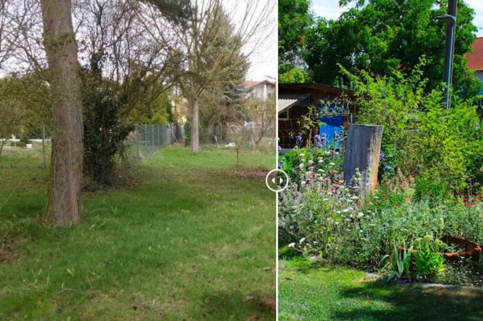 Mein Garten Vorher Nachher Titelbild
