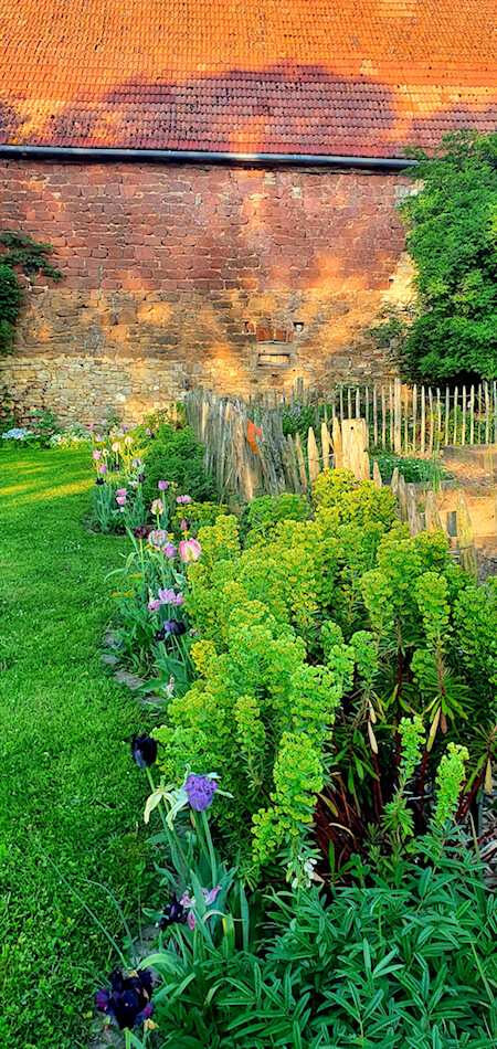 Garten Vorher Nachher