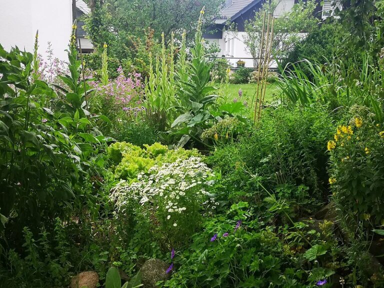 Ein tierfreundlicher Garten Tipps zum Gestalten