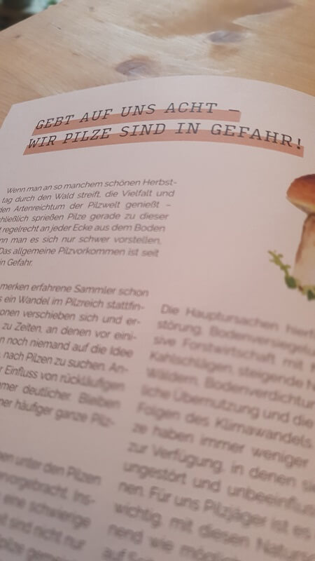 Pilze sammeln
