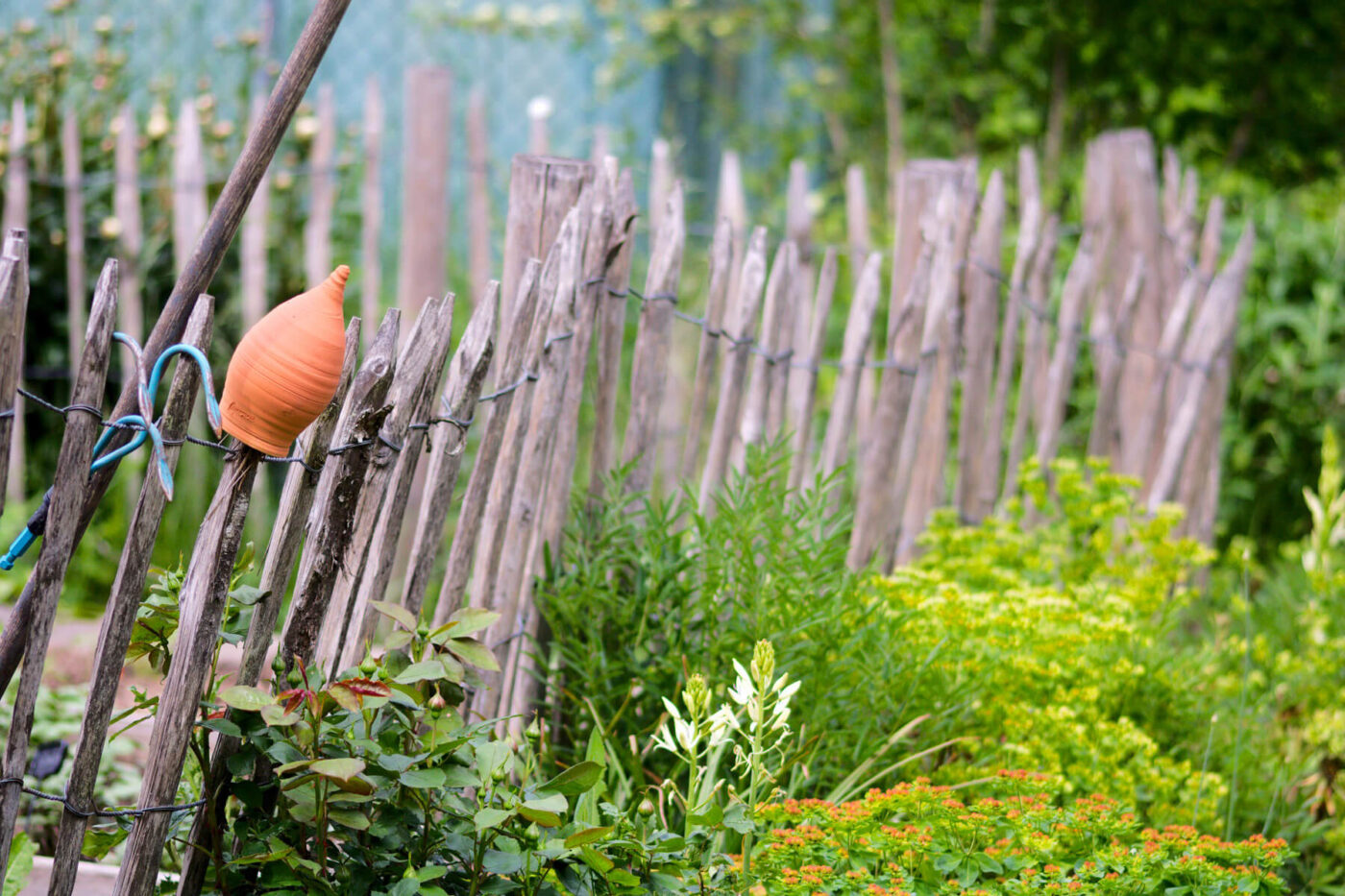 Gartenblog Gartengestaltung