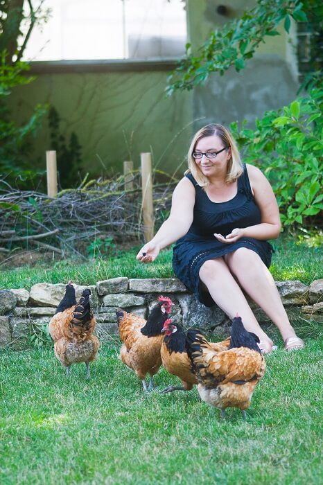 Gartenblog Hühnerhaltung im Wohngebiet