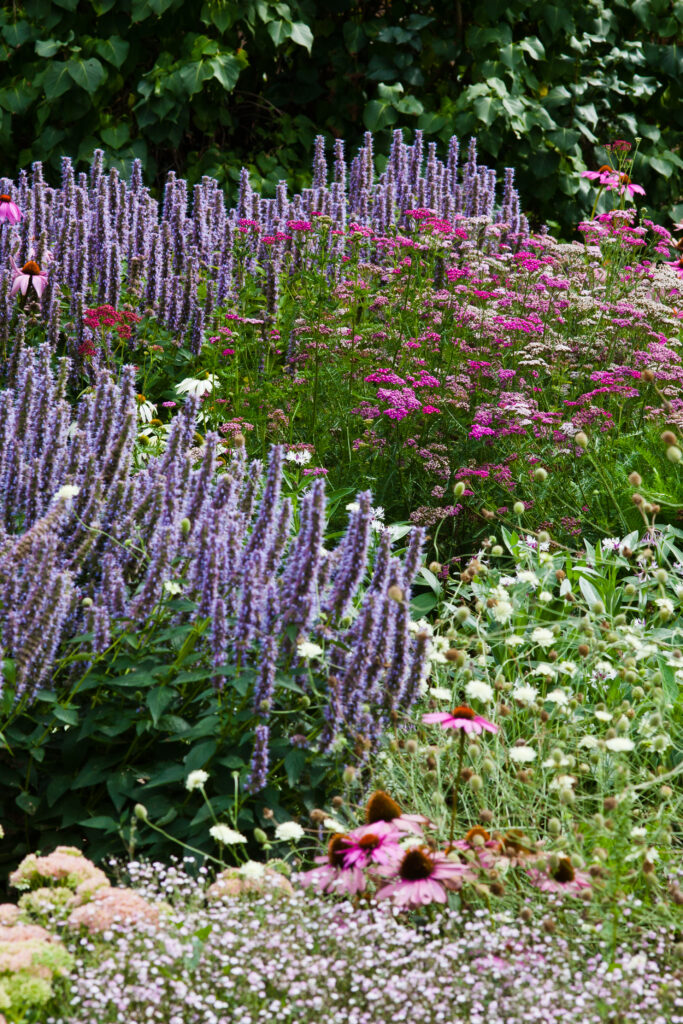 stauden staudenbeet gartengestaltung pflanzplanung beet