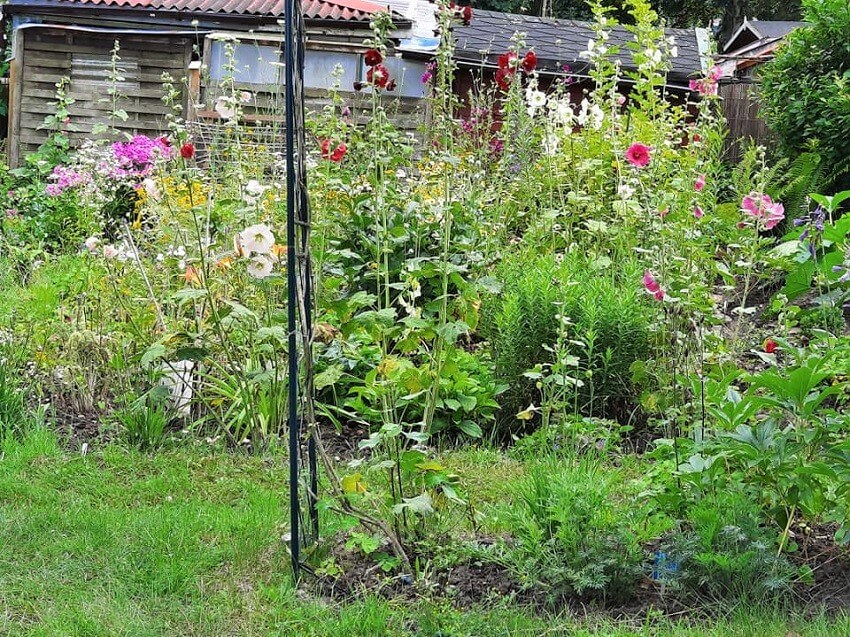 Schönste Privatgärten Deutschlands - der Garten von Maren