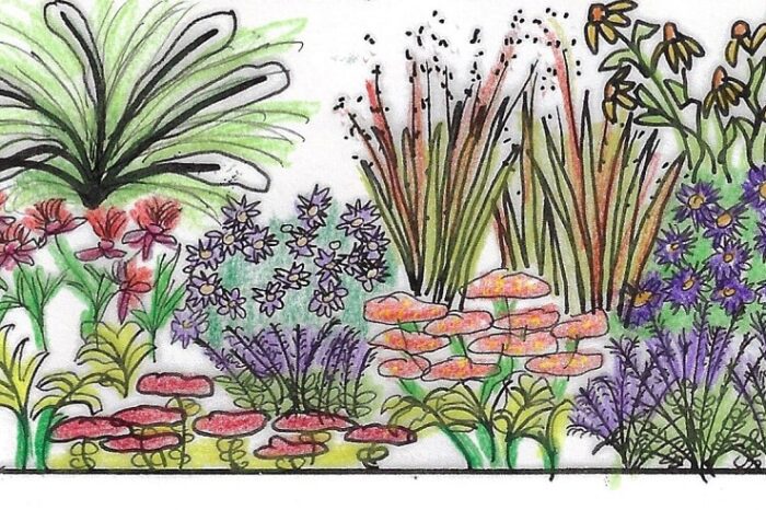 Pflanzplanung Gartenplanung