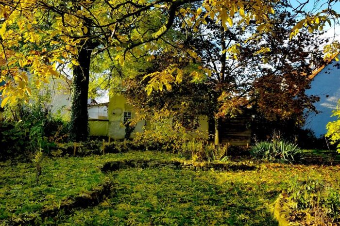 Gartenarbeit November