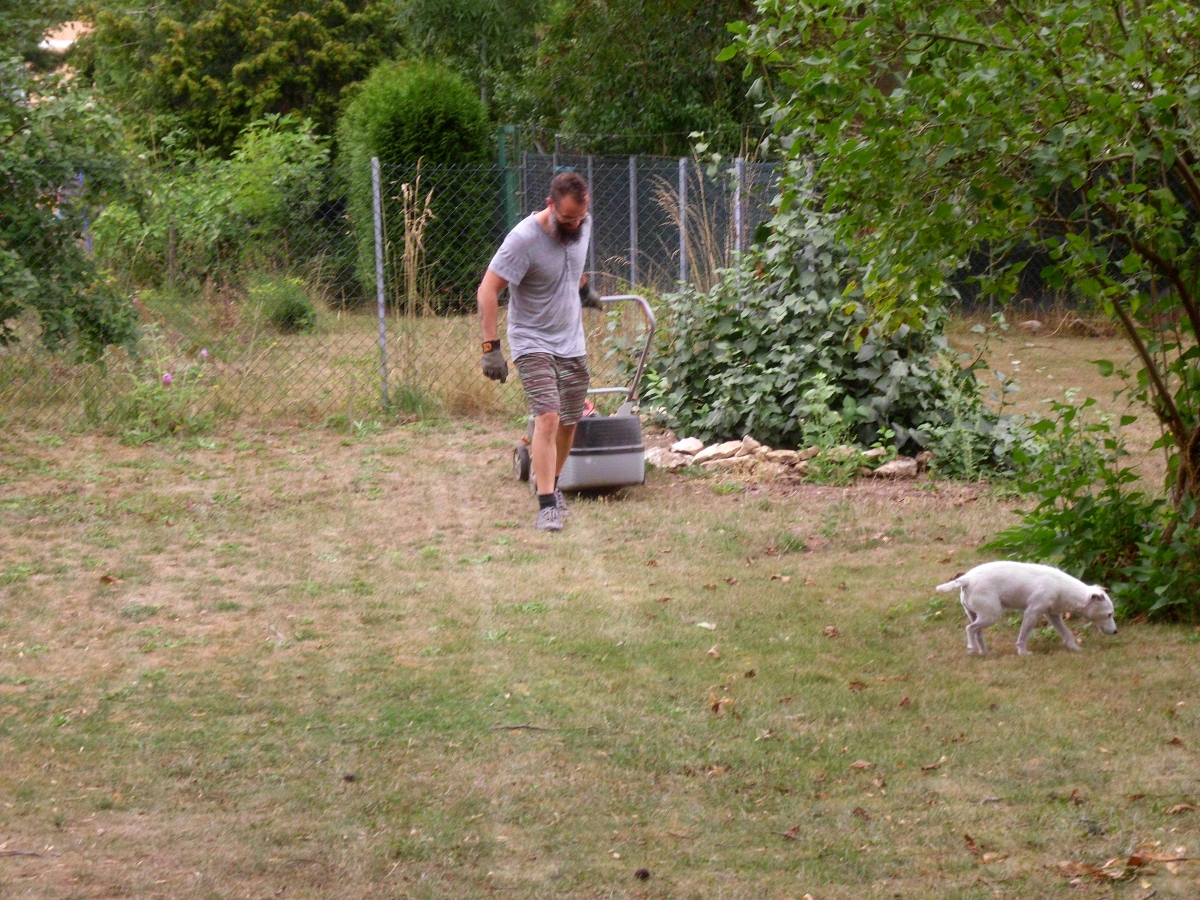 Gartenbereich vorher