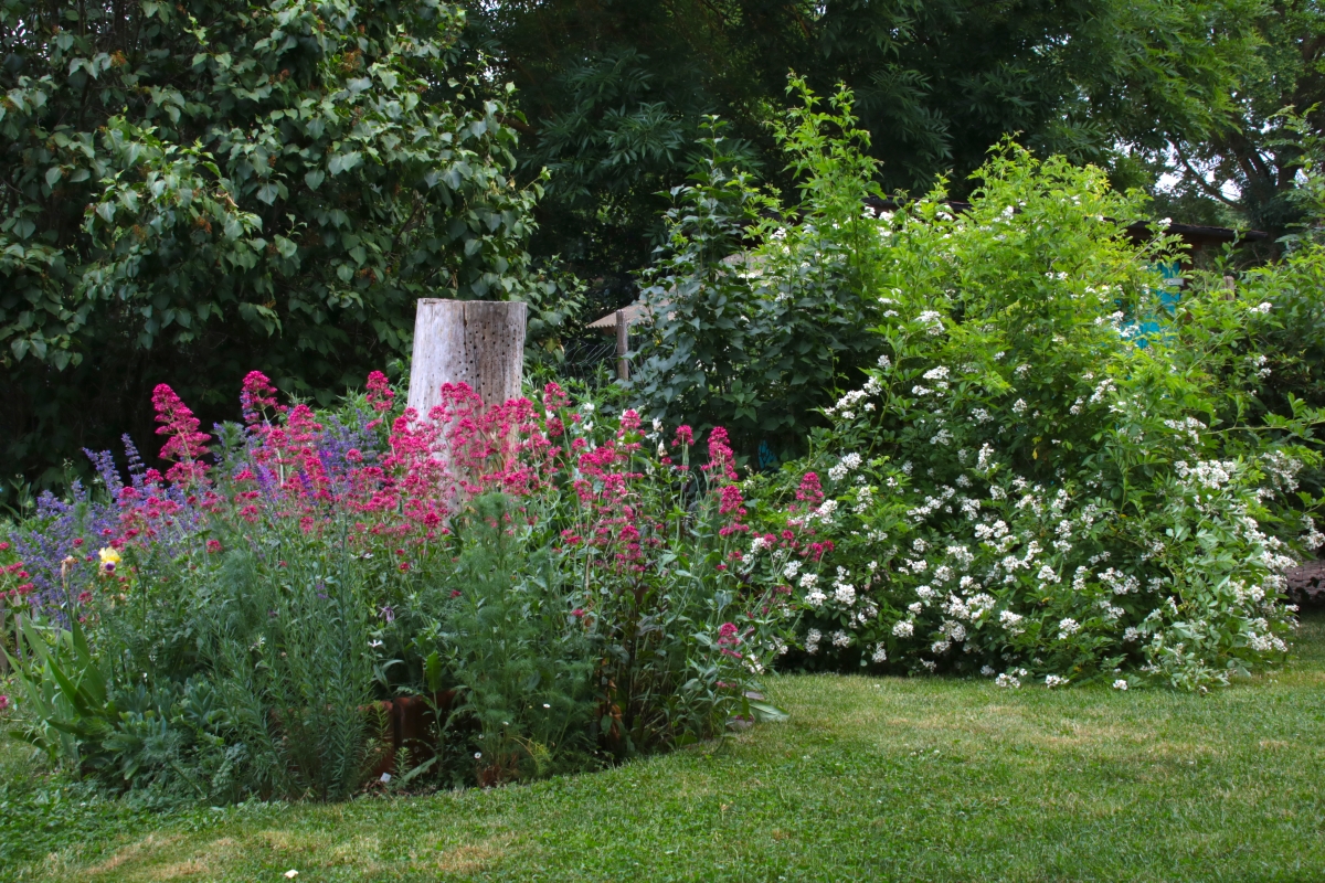 Gartenbereich nachher