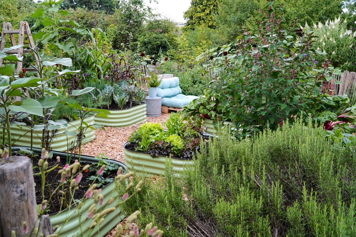 Gemüsegarten nachher