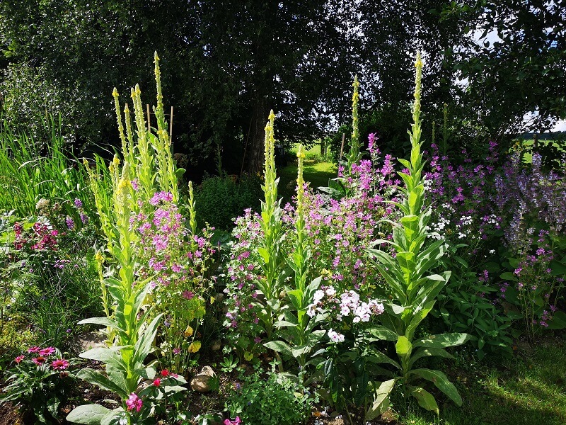tierfreundlicher Garten
