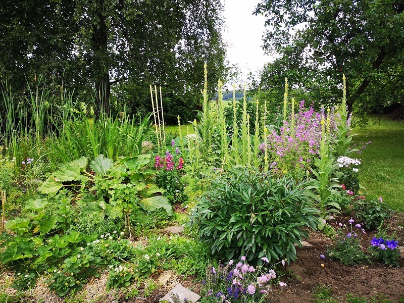 tierfreundlicher Garten