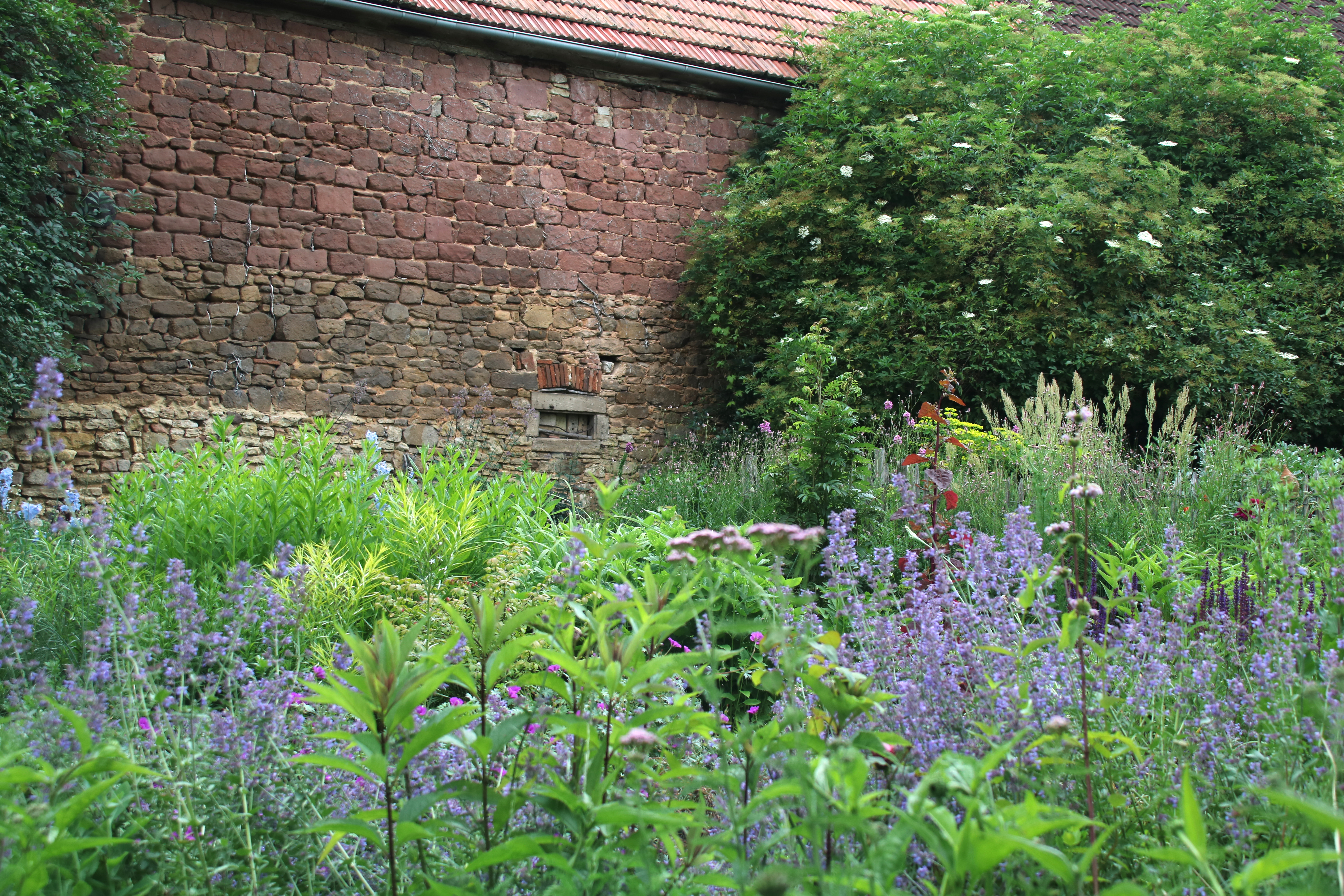 Gartenplaner werden: Nachher