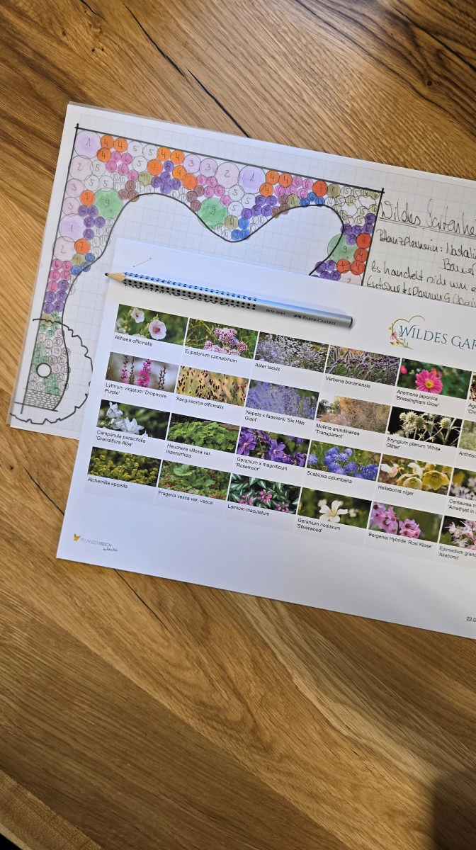 Pflanzplanung nachher