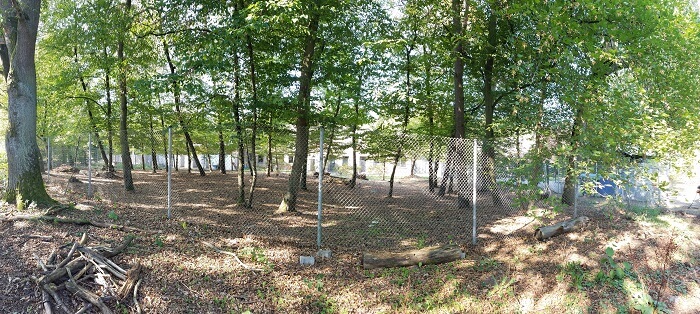 Ein Garten für Hunde