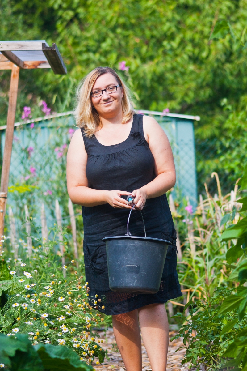 Gartenplaner werden 2019