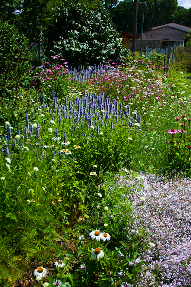 Garten Vorher Nachher