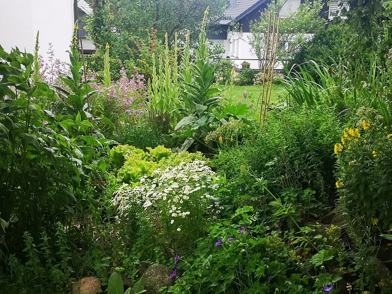 tierfreundlicher Garten