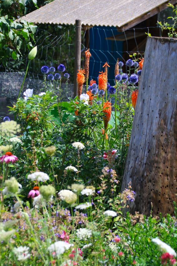 Blickpunkte im Garten