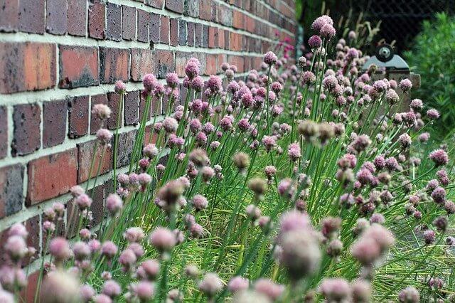 Grundlagen der Gartengestaltung