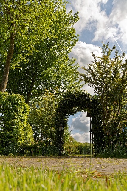 gartengestaltung ideen bilder rosenbogen