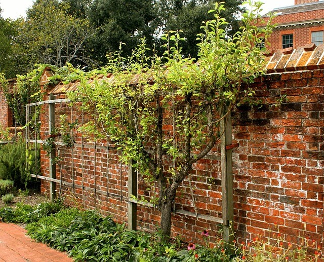 gartengestaltung ideen bilder spalier