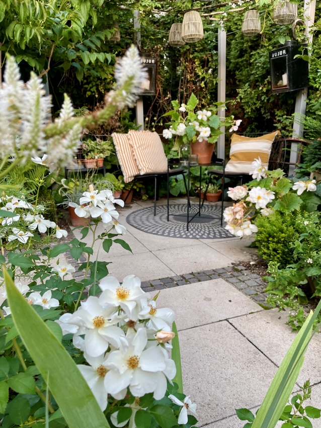 Beetwunderung