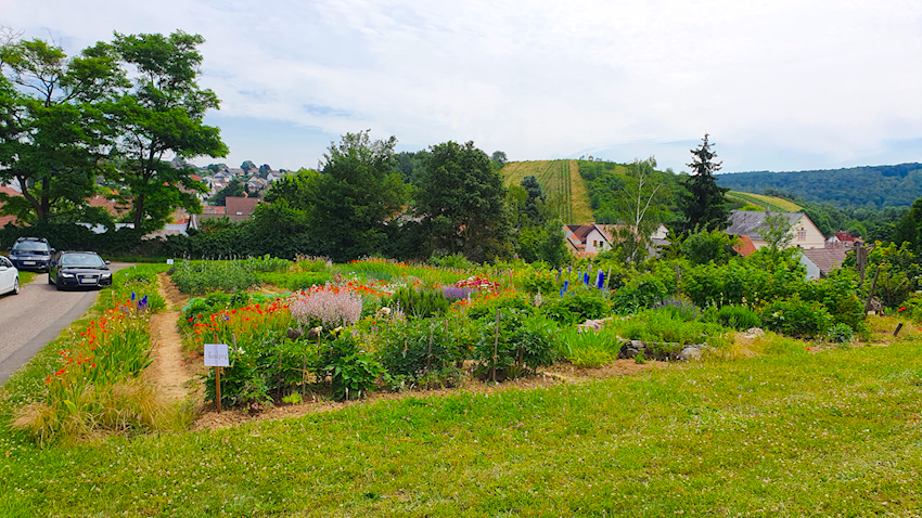 Garten auf dem Land