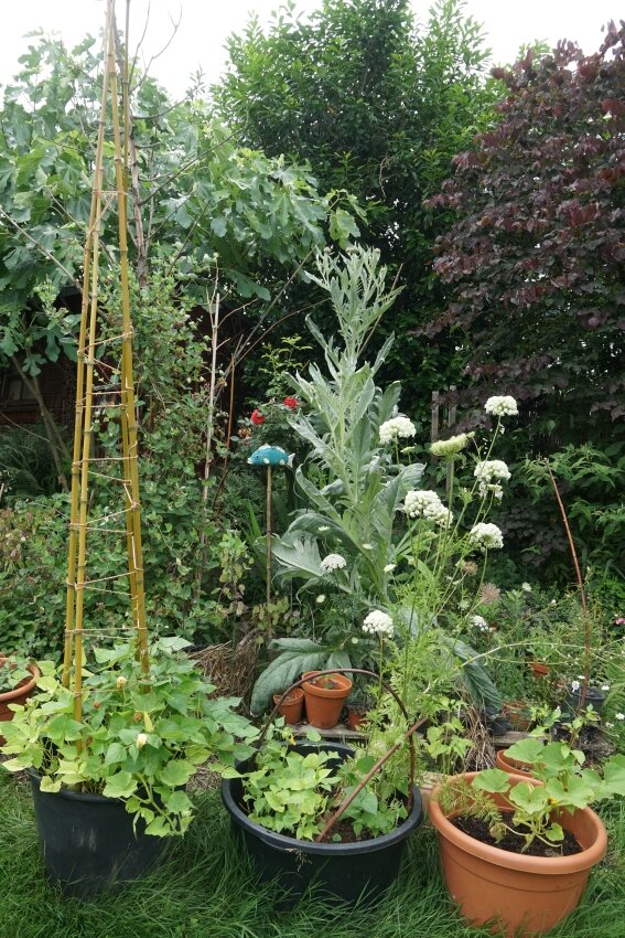 Der wilde Garten von GartenGarten.