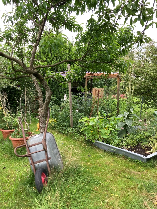 Der Garten von gartengarten.