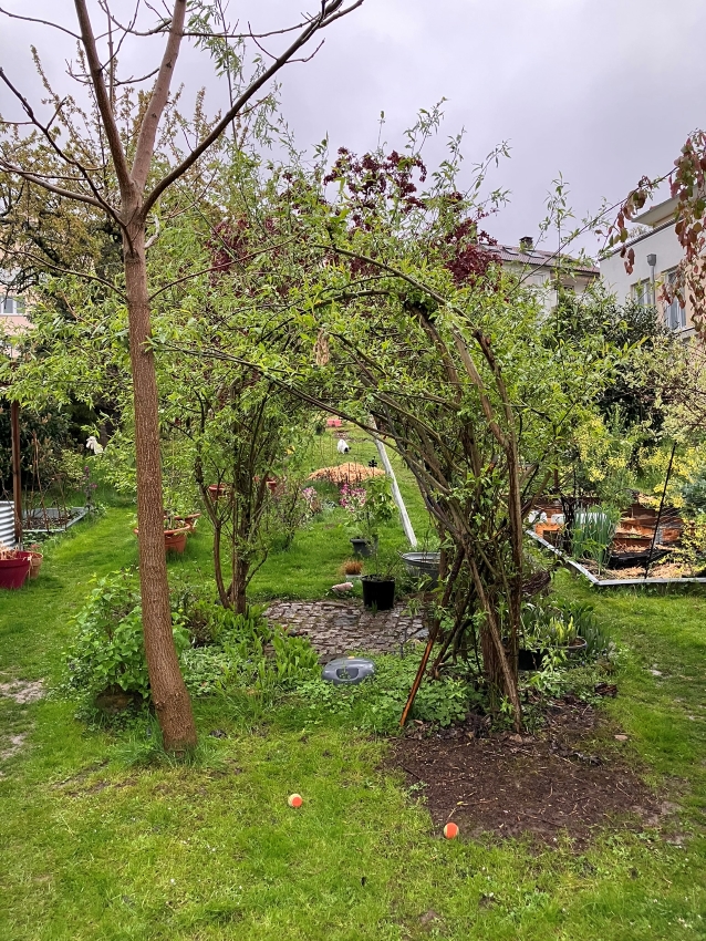 Der Garten von gartengarten.