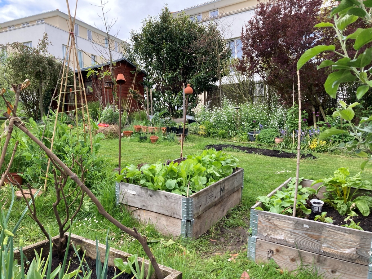 Der Garten von gartengarten.