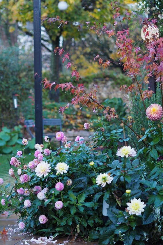 Herbstgarten