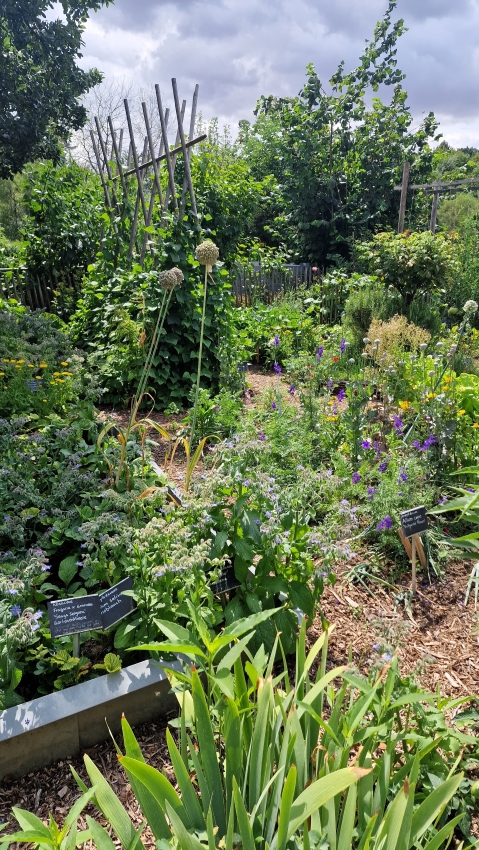 Bauerngarten