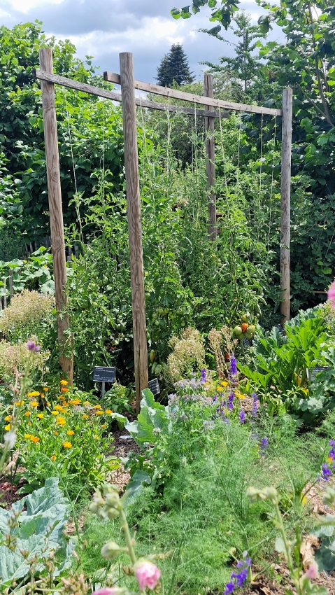 Bauerngarten