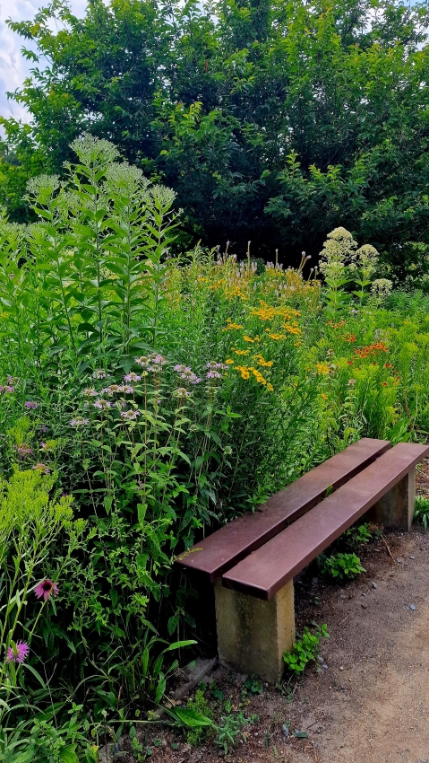 botanische Garten Mainz