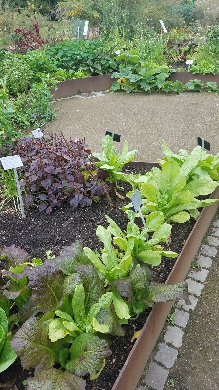 Gemüsegarten