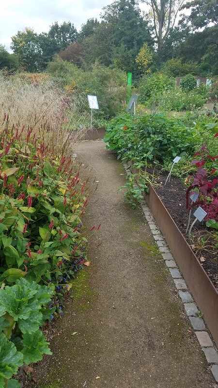 gemüsegarten