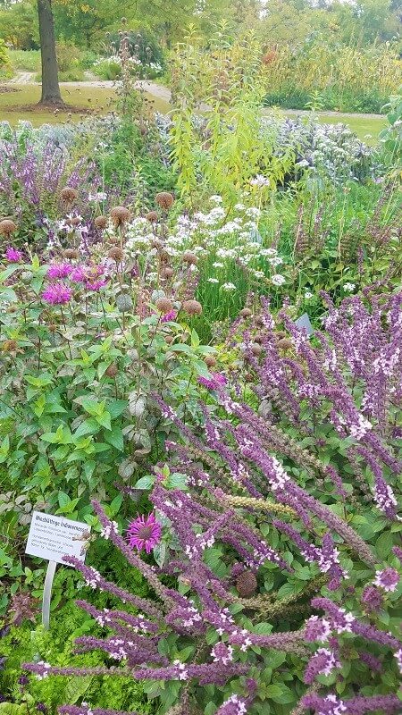 der botanische Garten