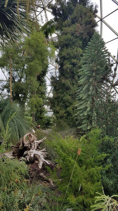 der botanische Garten