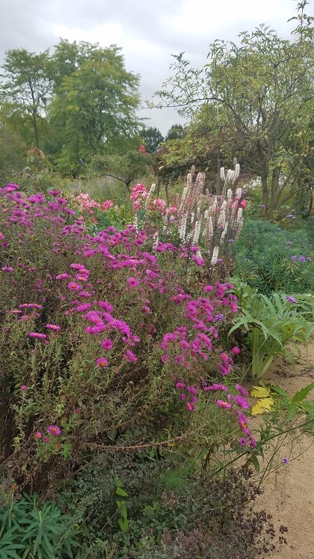 der botanische Garten