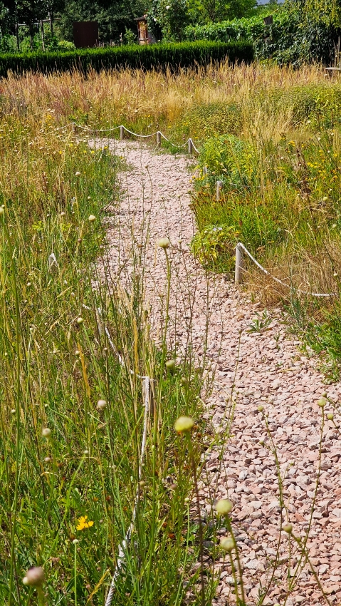 Steppe