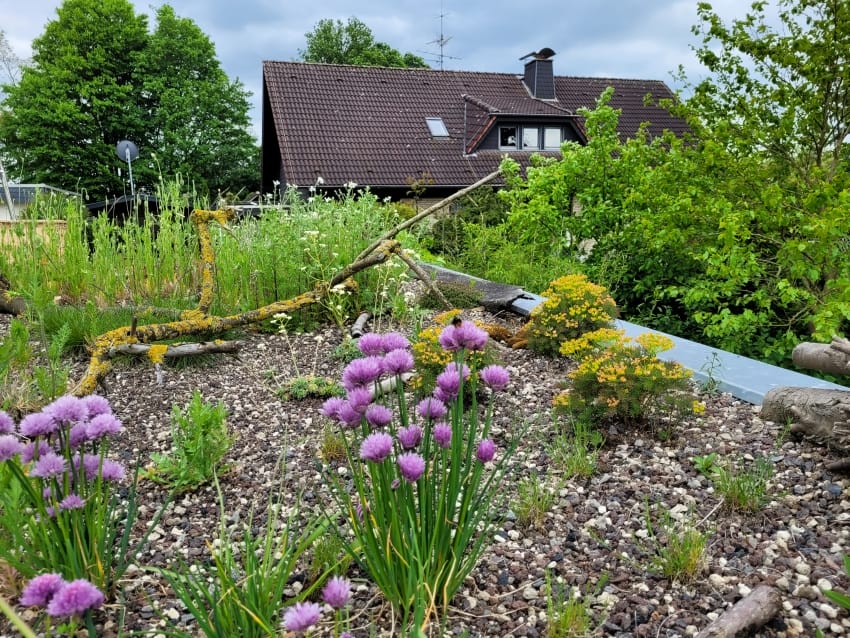 Naturgarten
