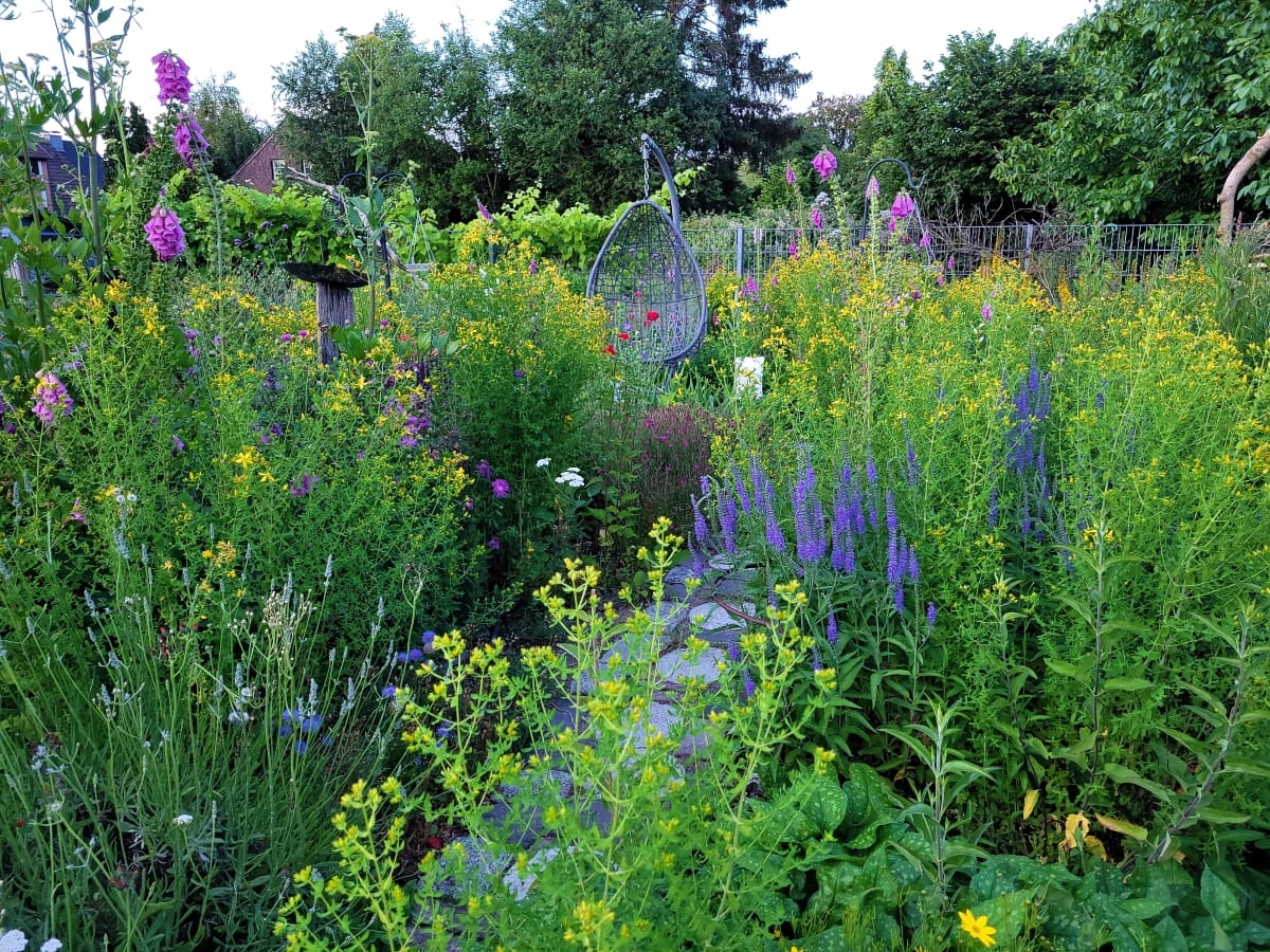 Naturgarten von Dagmar