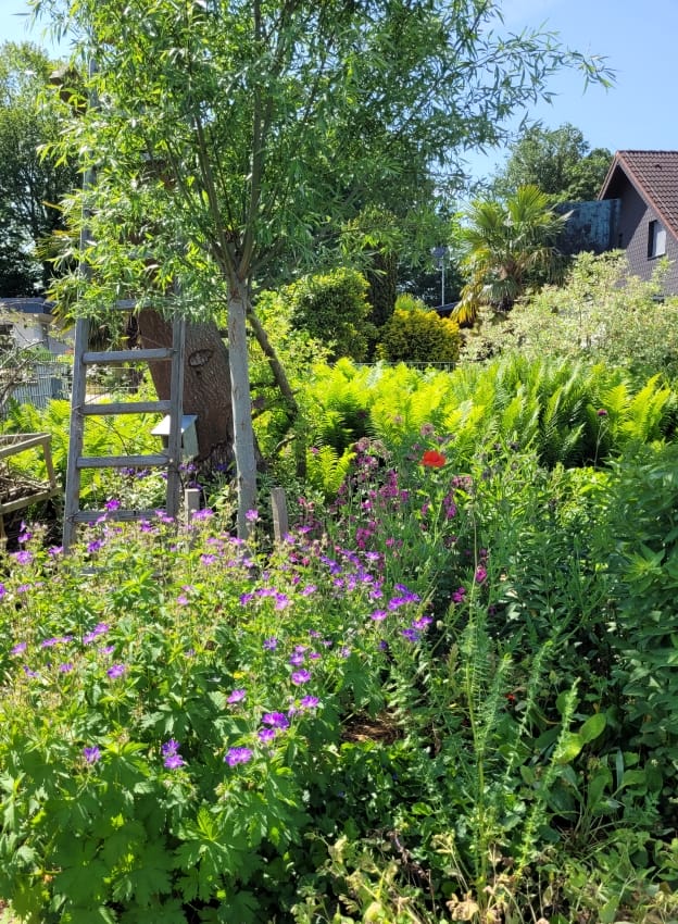 Naturgarten von Dagmar