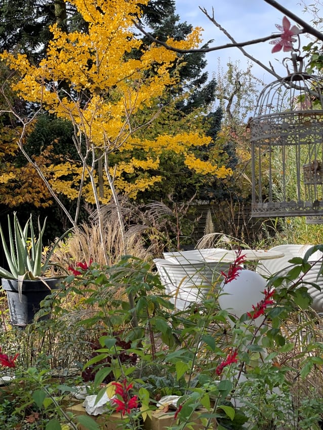 Der normale Garten